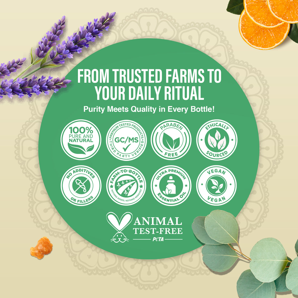 Four Essential Classics Set- Frankincense, Lavender, Eucalyptus, &amp; Orange 4 x 15mL