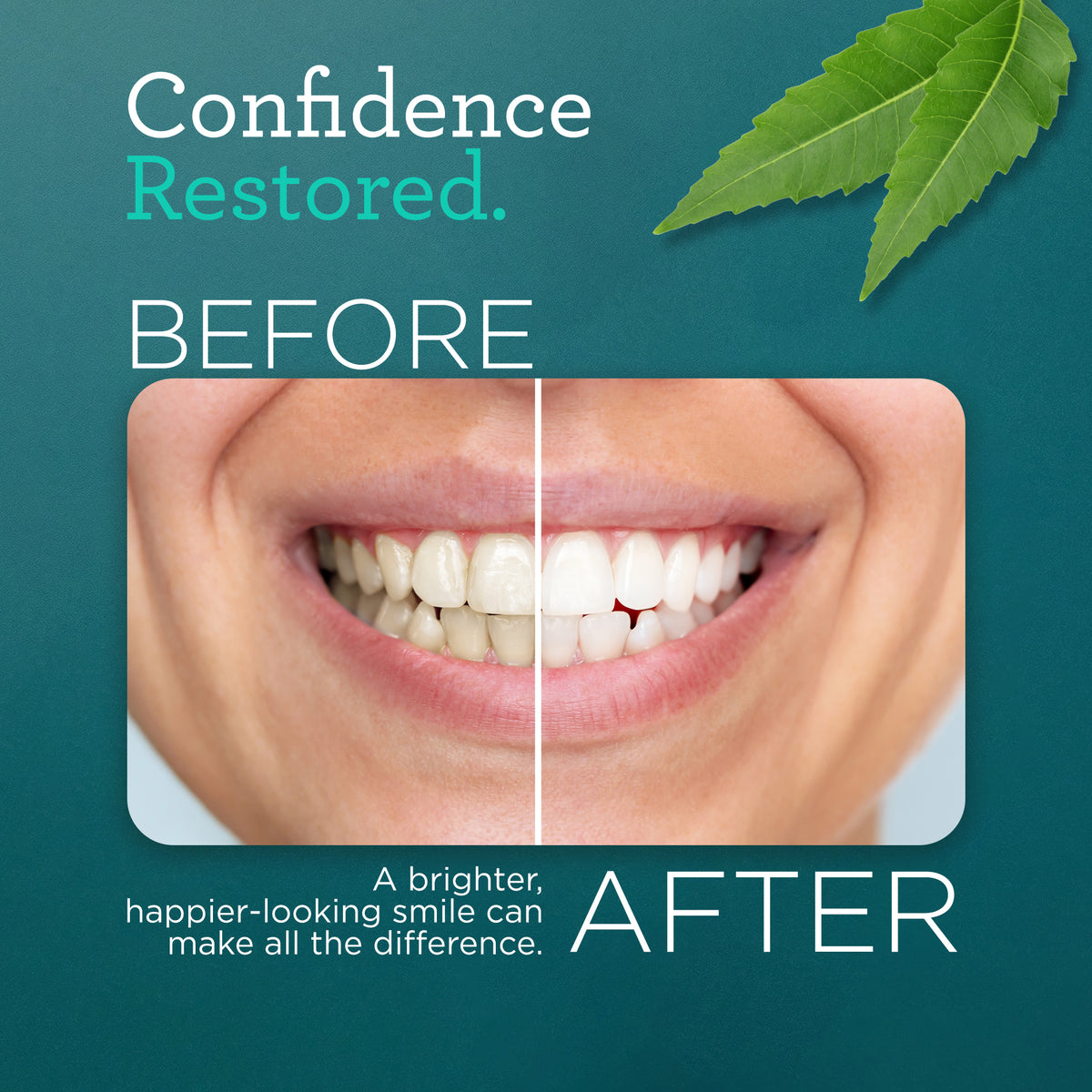 Hydroxyapatite &amp; Neem Whitening Toothpaste, Fluoride Free – 4.2 oz