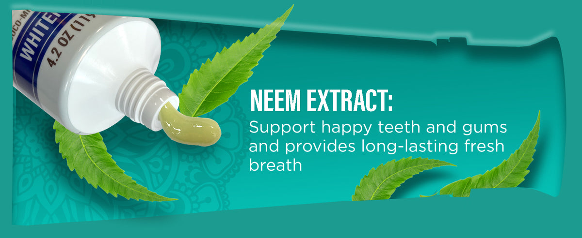 GuruNanda Hydroxyapatite & Neem Whitening Toothpaste