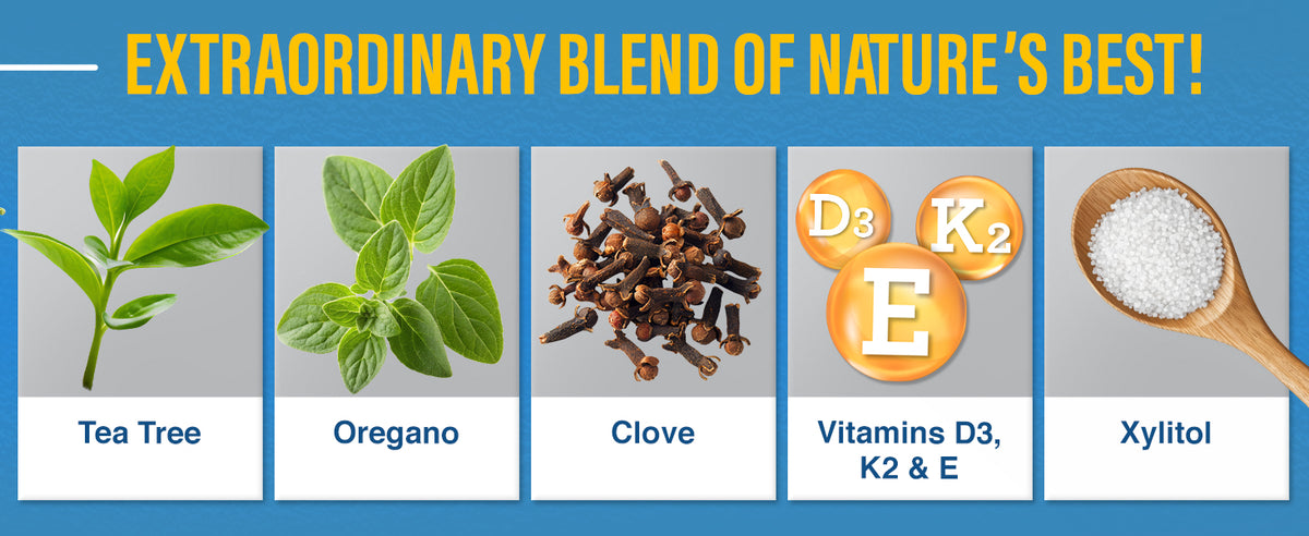 Ingredients (slide 2)